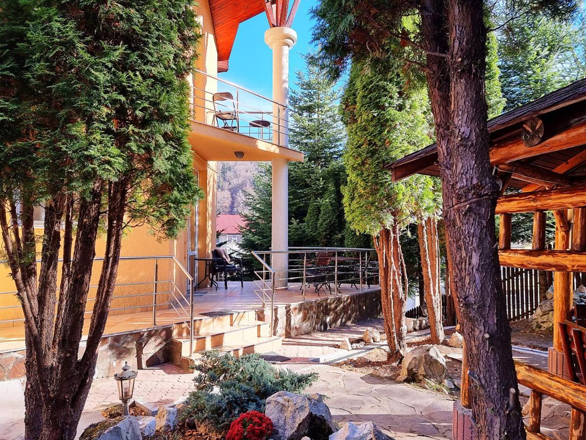 Marble Villa: Luxury Estate - Central But Intimate Sinaia Buitenkant foto